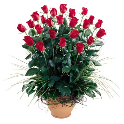  Mardin uluslararası çiçek gönderme  10 adet kirmizi gül cam yada mika vazo