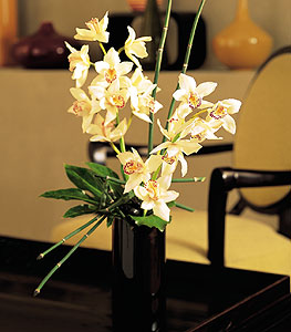  Mardin iekiler  cam yada mika vazo ierisinde dal orkide