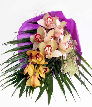  Mardin cicekciler , cicek siparisi  1 adet dal orkide buket halinde sunulmakta