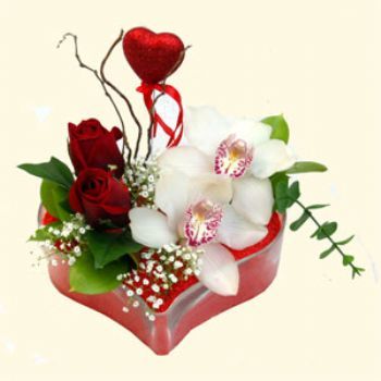  Mardin hediye sevgilime hediye iek  1 kandil orkide 5 adet kirmizi gl mika kalp