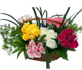  Mardin ucuz çiçek gönder  35 adet rengarenk güllerden sepet tanzimi