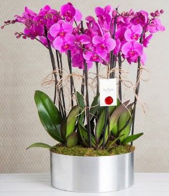 11 dall mor orkide metal vazoda  Mardin iek gnderme sitemiz gvenlidir 