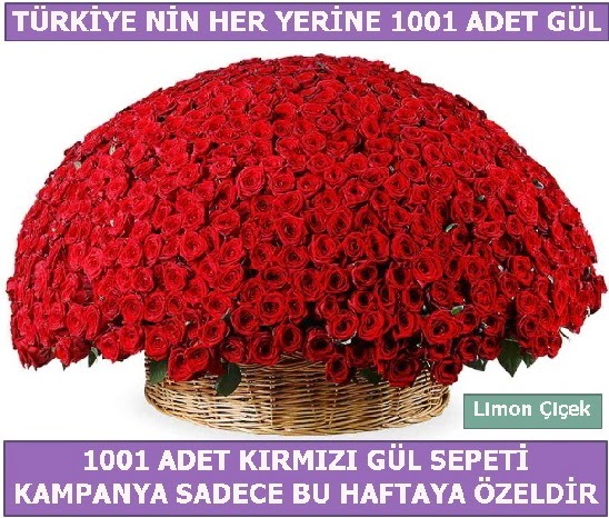 1001 Adet kırmızı gül Bu haftaya özel  Mardin İnternetten çiçek siparişi 
