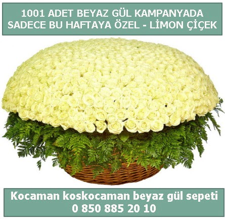 1001 adet beyaz gül sepeti özel kampanyada  Mardin çiçek gönderme sitemiz güvenlidir 