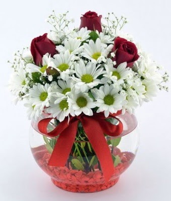 Fanusta 3 Gül ve Papatya  Mardin internetten çiçek satışı 