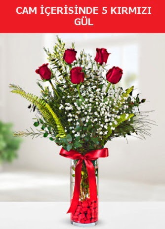 Cam içerisinde 5 adet kırmızı gül  Mardin çiçek siparişi sitesi 