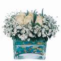 mika ve beyaz gül renkli taslar   Mardin çiçek satışı 