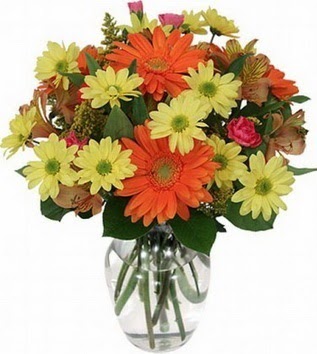  Mardin hediye sevgilime hediye çiçek  vazo içerisinde karışık mevsim çiçekleri