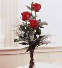  Mardin internetten çiçek satışı  Vazoda 3 adet güzel gül