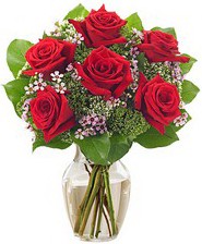 Kız arkadaşıma hediye 6 kırmızı gül  Mardin internetten çiçek siparişi 
