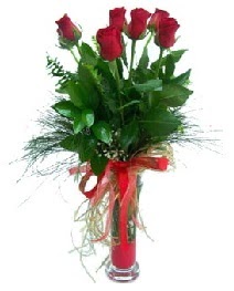 vazo içerisinde 5 kırmızı gül  Mardin güvenli kaliteli hızlı çiçek 